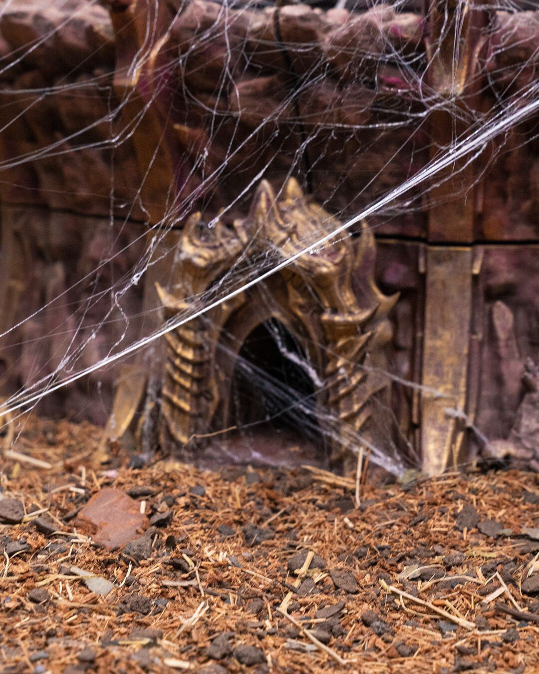 Unpainted Spider Queen's Lair