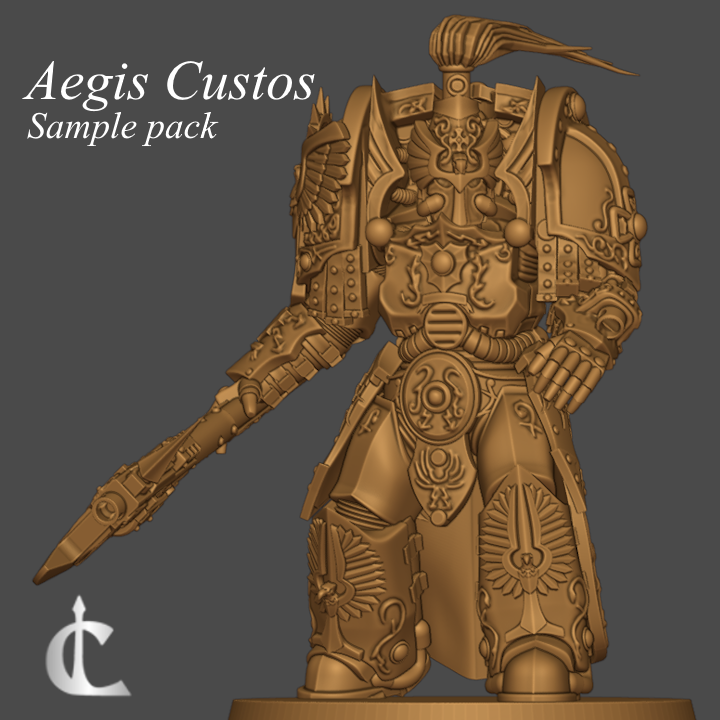 Unpainted Aegis Custos Pack of 3 image 0