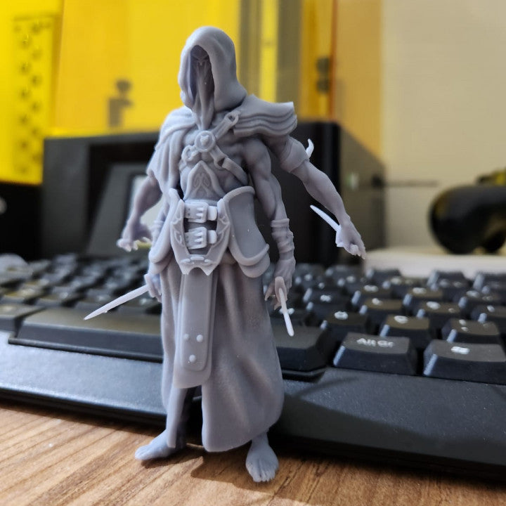 Unpainted Assassin image 1