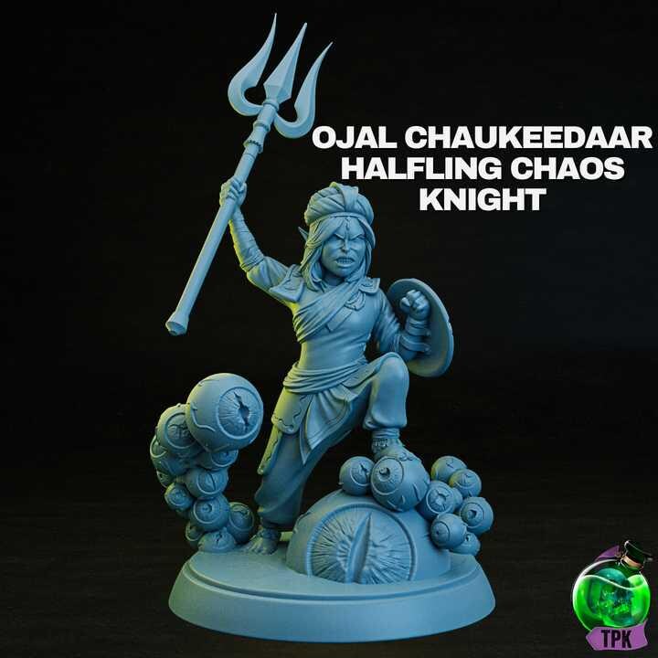 Unpainted TPK Lab Ojal Chaukeedaar, Halfling Chaos Knight image 0