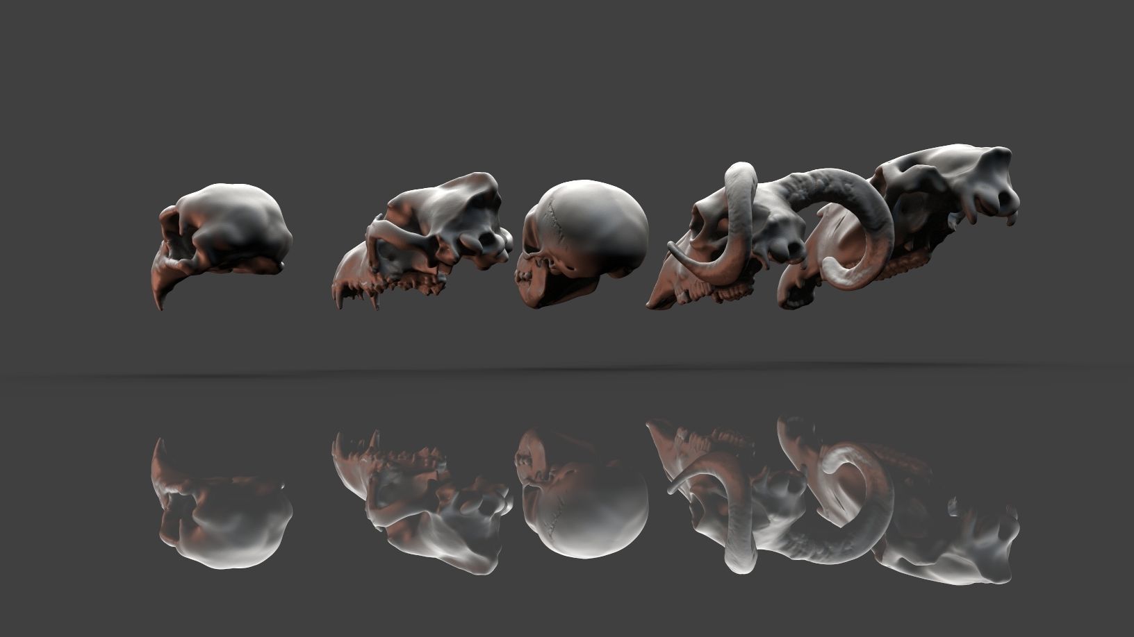 Unpainted Skulls- Animal skulls terrain image 2
