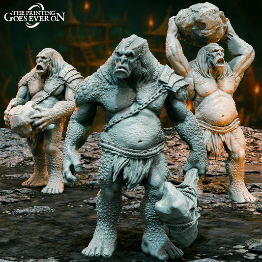 Unpainted Mountain Trolls Pack of 3 image 0