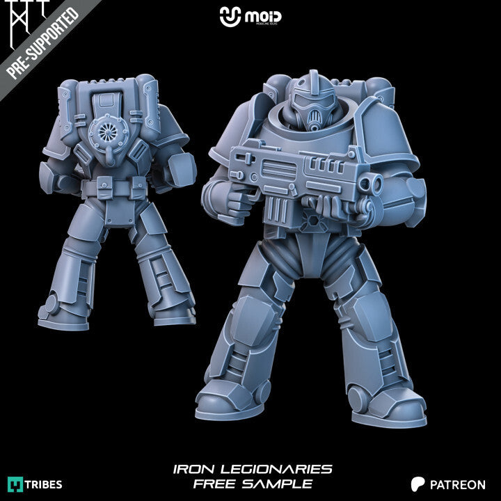 Unpainted Iron Legionary