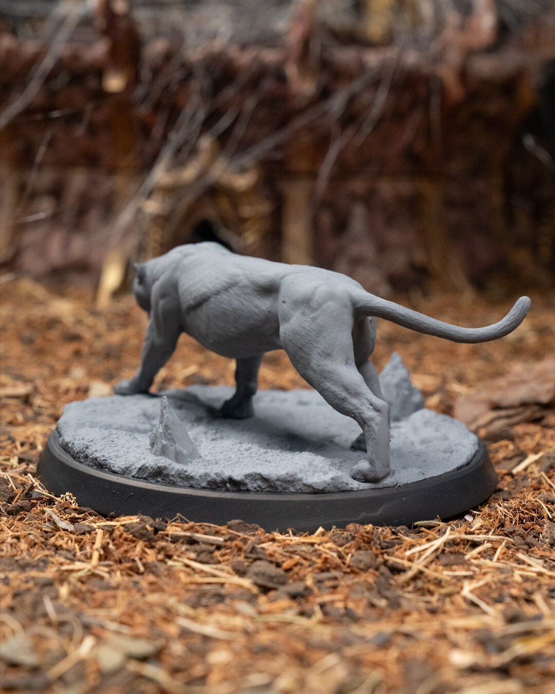 Unpainted Paws