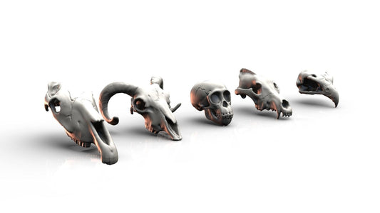 Unpainted-Animal-Skulls