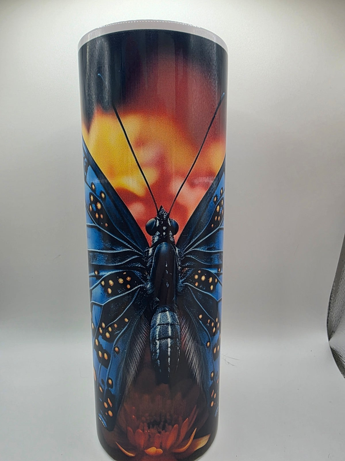 20 Ounce Metal Tumbler with lid and straw and box Butterfly