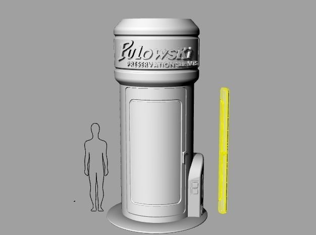 Unpainted Pulowski Preservation Shelter image 1