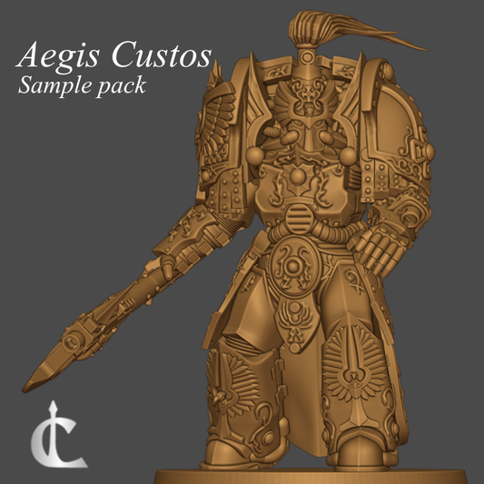 Unpainted Aegis Custos Pack of 3 image 0