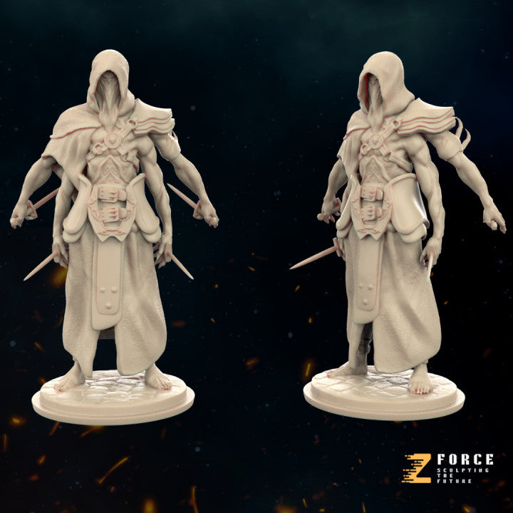 Unpainted Assassin image 0