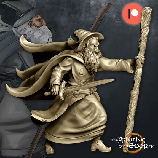 Unpainted Wizard image 0