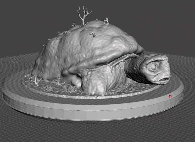 Unpainted Morla the Turtle 6 inches image 1
