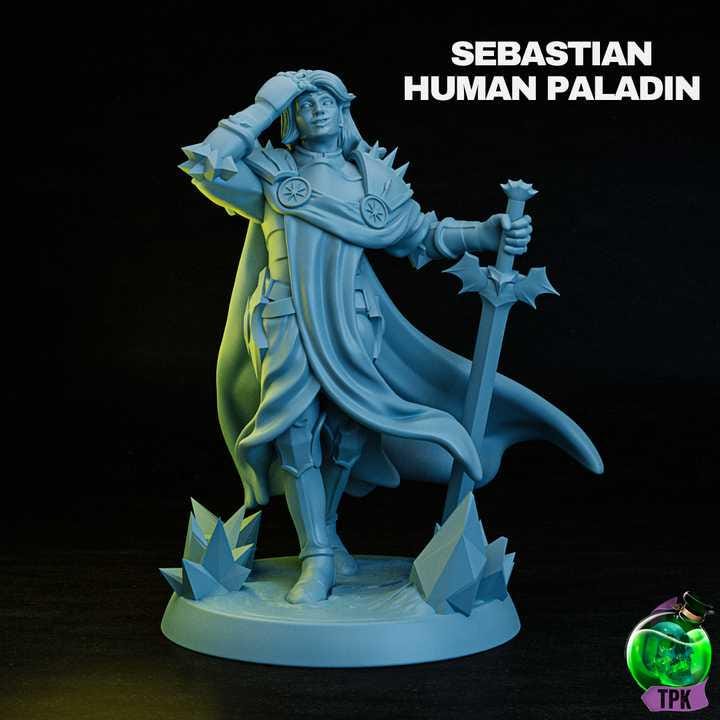 Unpainted TPK Lab Sebastian Human Paladin image 0