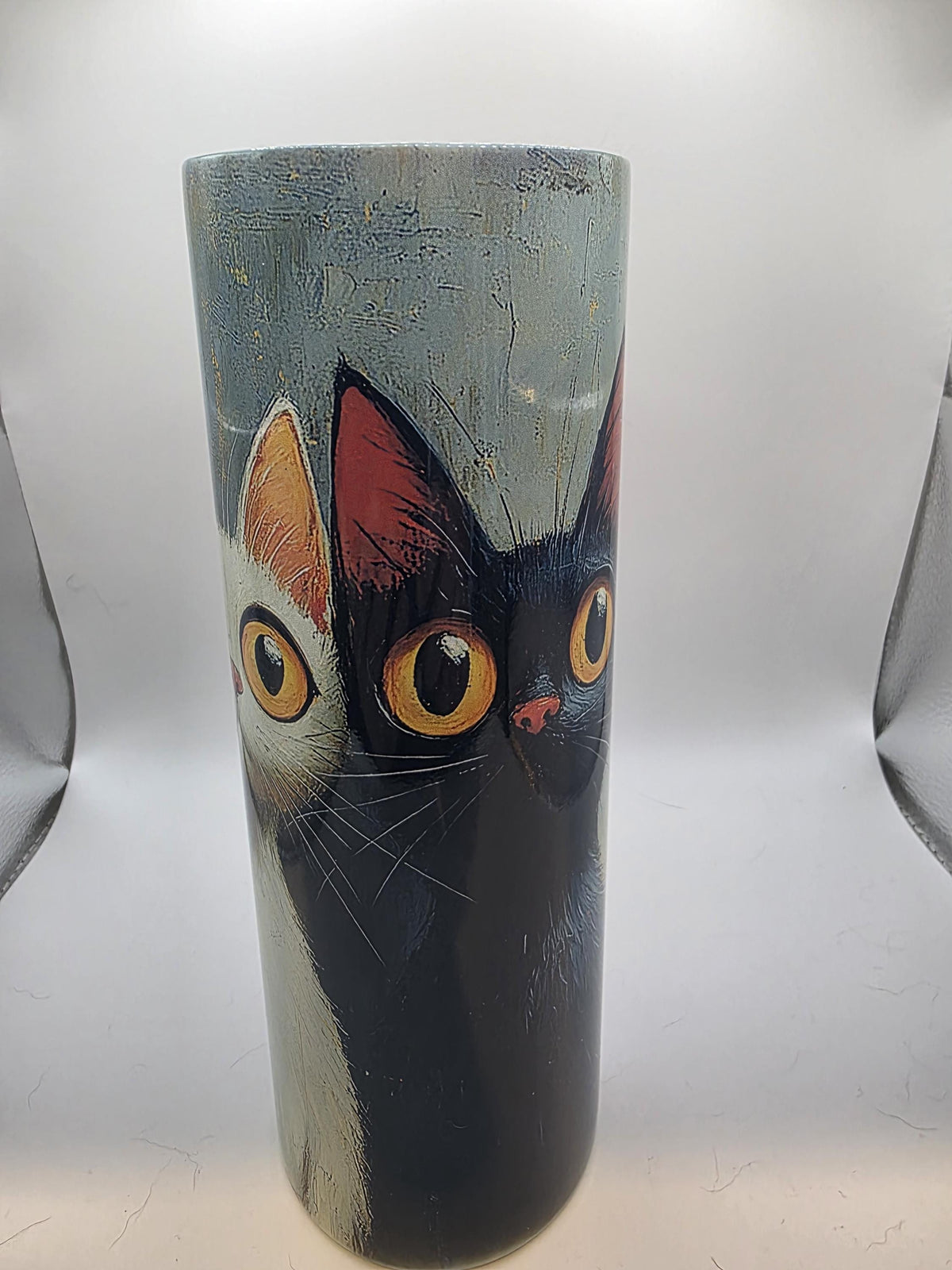 20 Ounce Tumbler with lid and straw and box  Trio of cats
