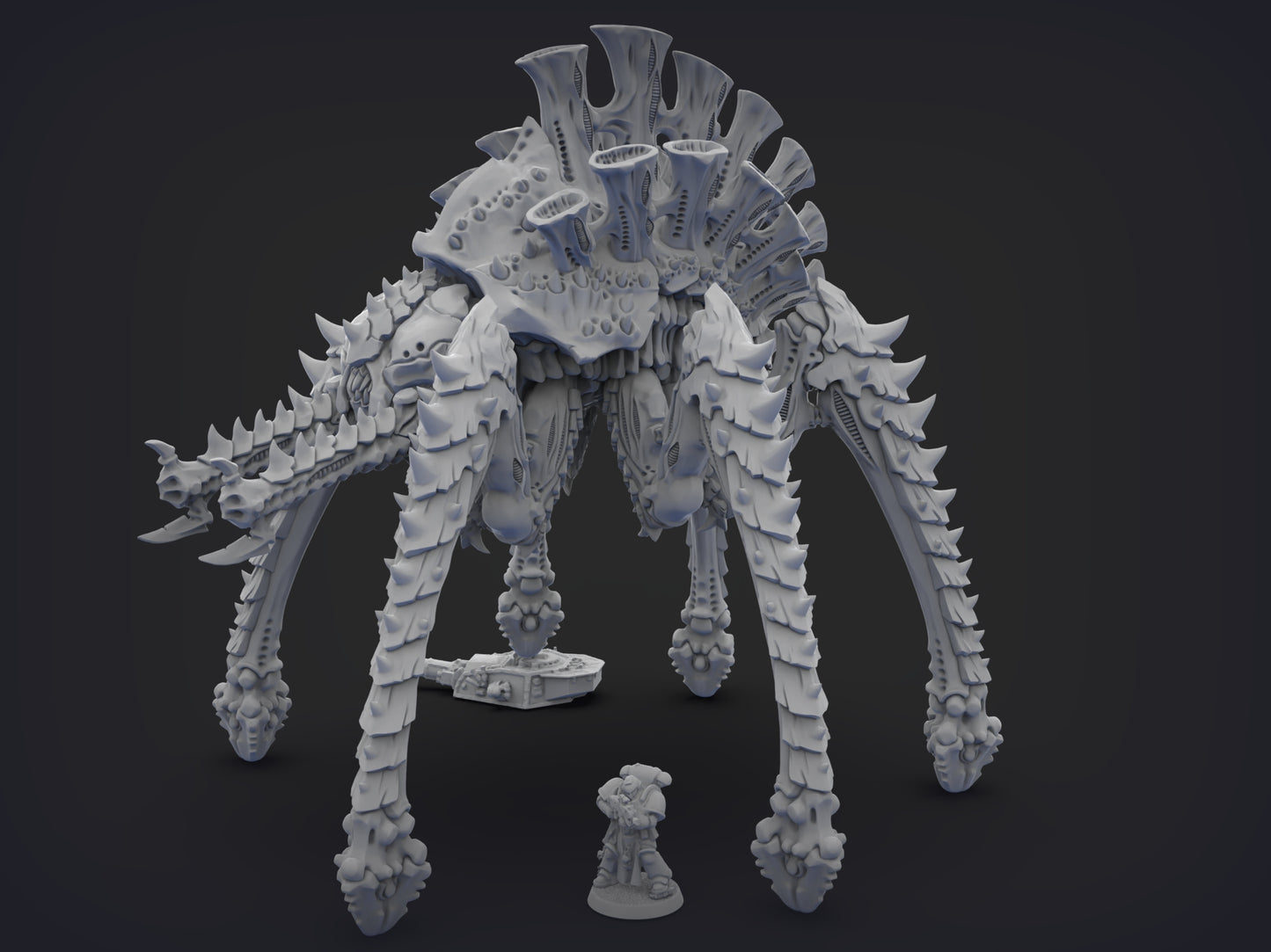 Unpainted Space Spider