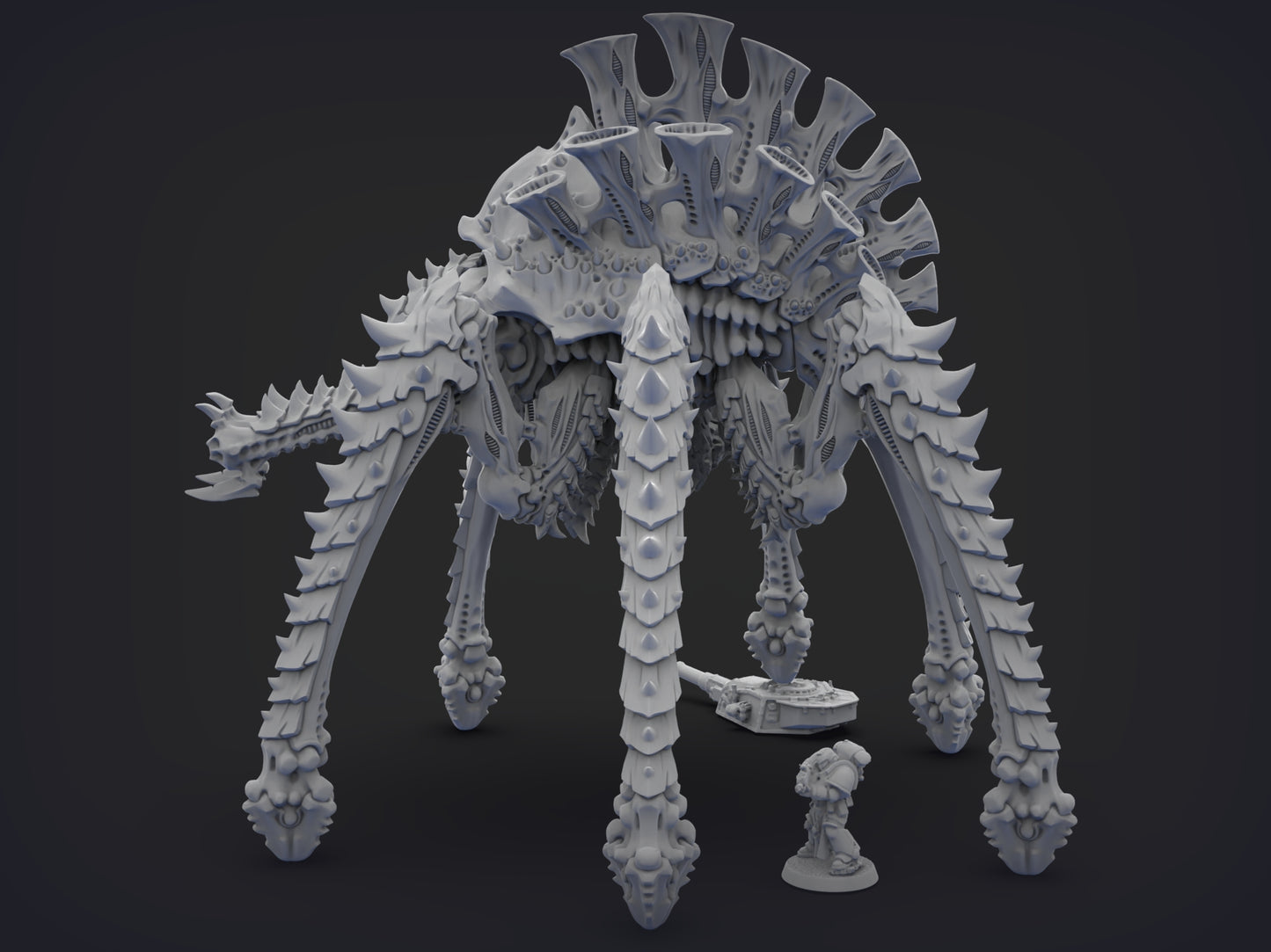Unpainted Space Spider