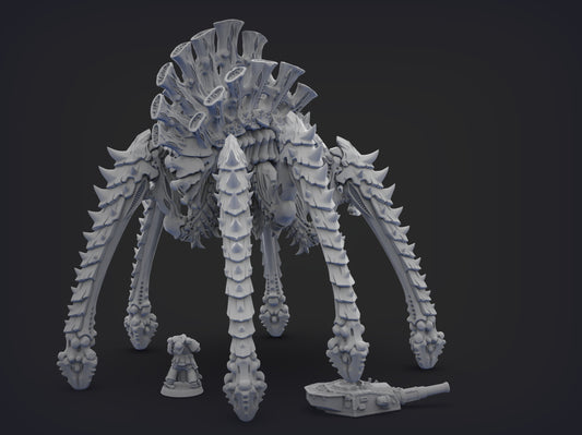Unpainted Space Spider